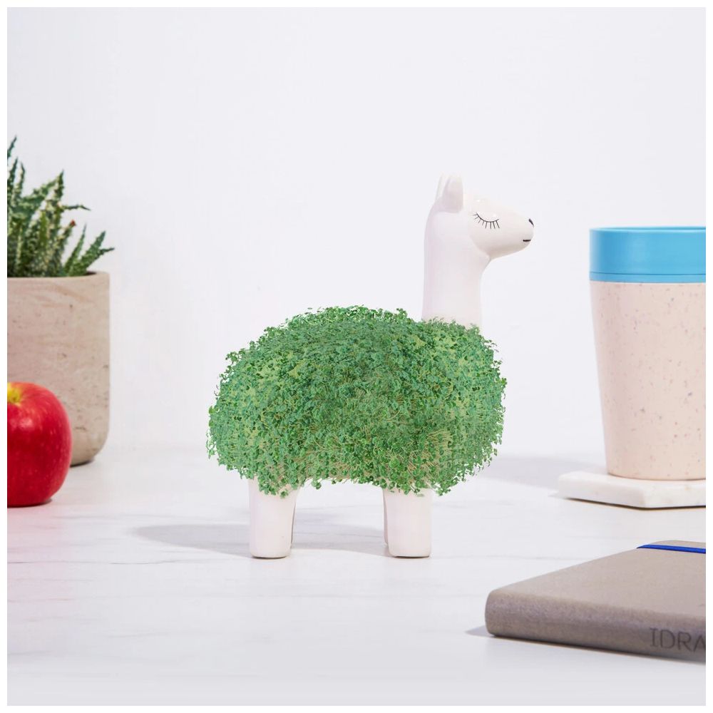 Le Lama Vert